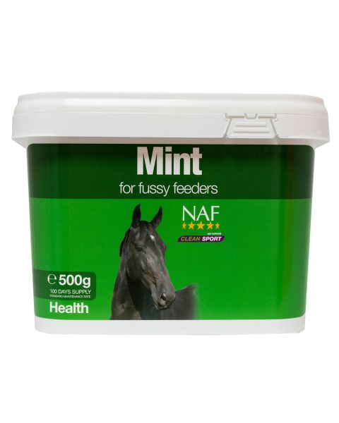 NAF Mint 500gm
