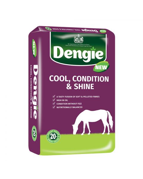 dengie cool condition and shine