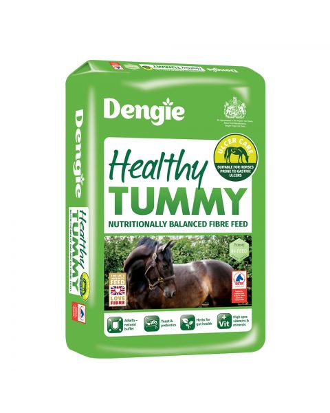dengie healthy tummy