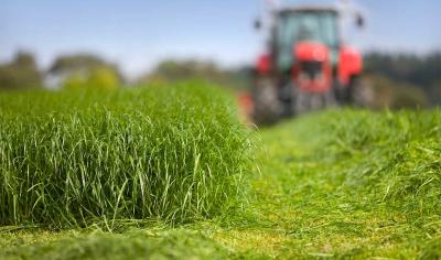 TIME4SILAGING – Top Tips On Making Quality Silage