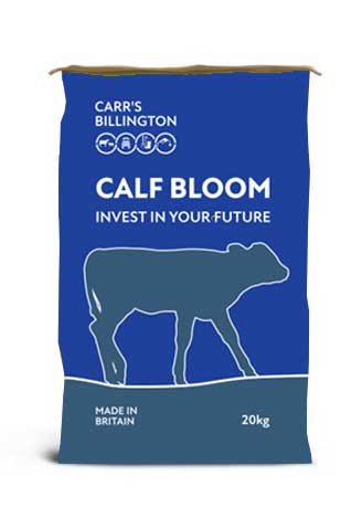 Calf Bloom Milk Replacer