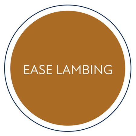 Vitablox ease lambing