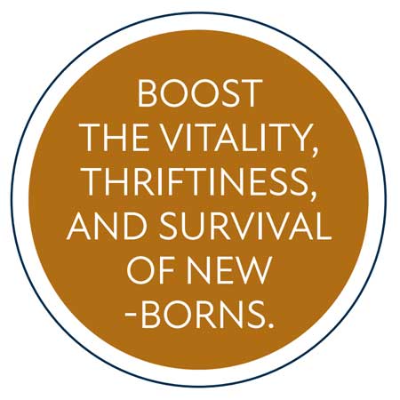 boost vitality