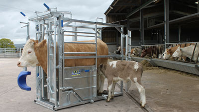 livestock handling
