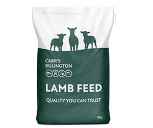 lamb feed