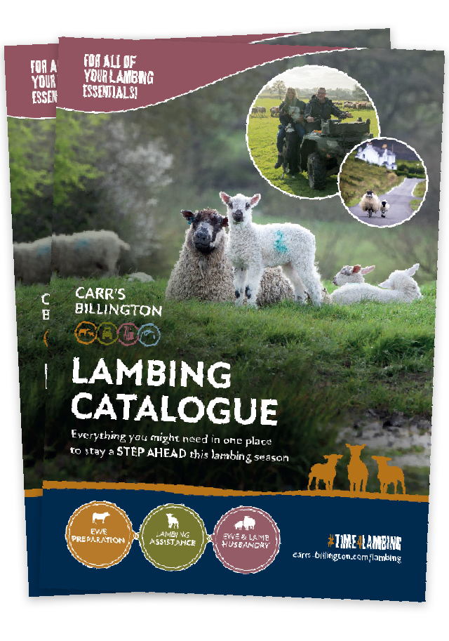 Lambing Catalogue