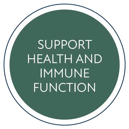 vitablox support health and immune