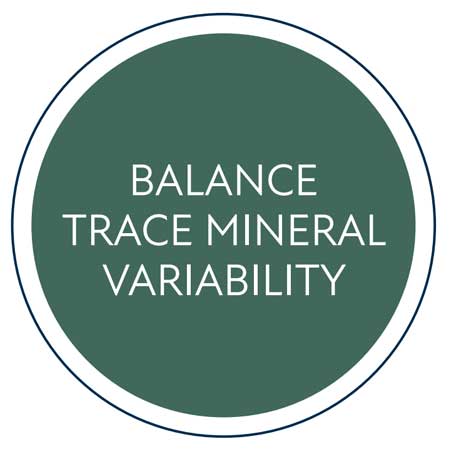 vitablox balance trace mineral