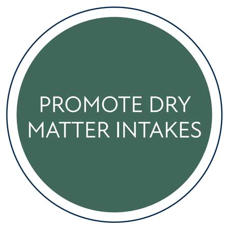 vitablox promote dry matter